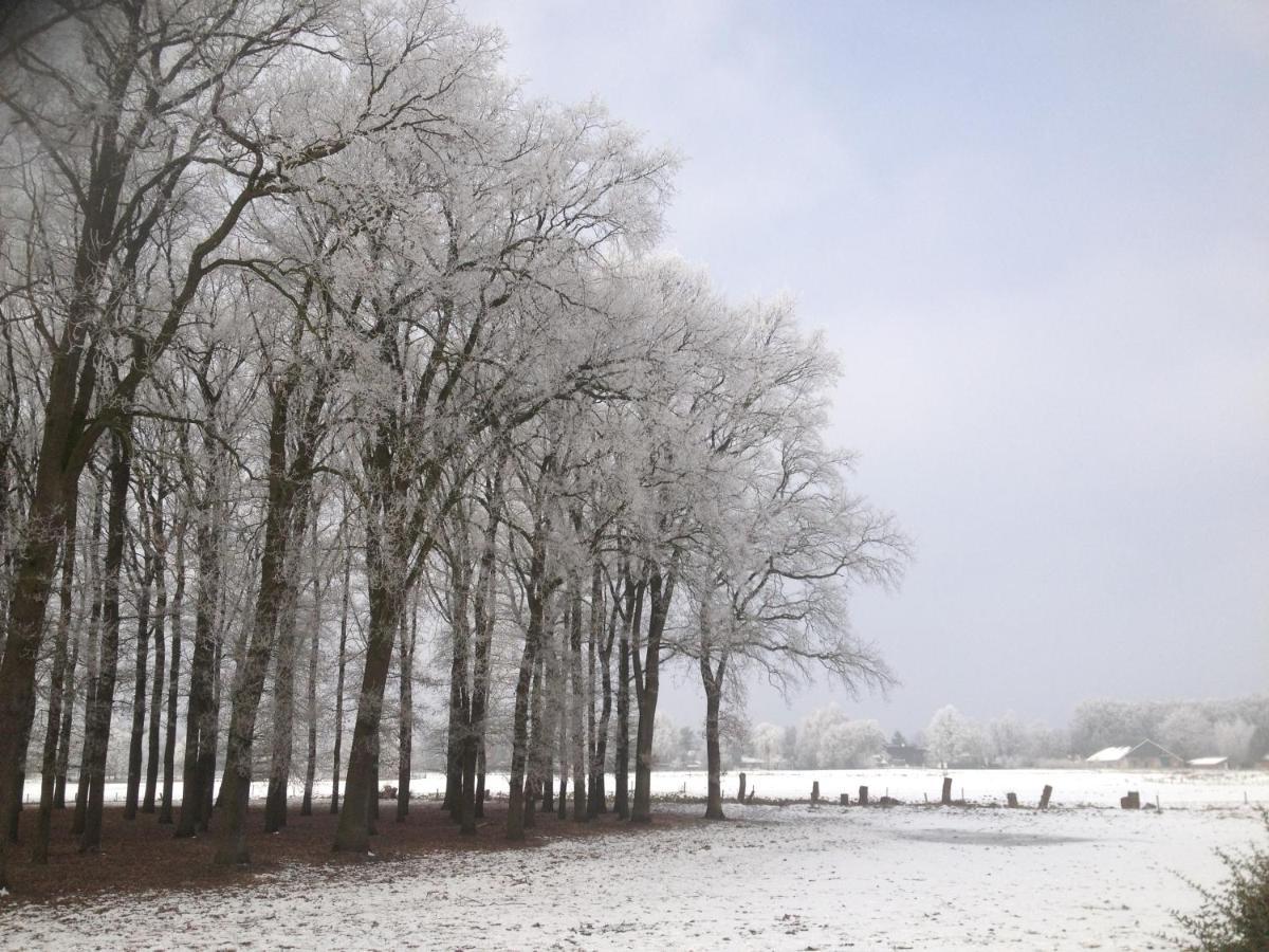 Erve Iemhorst Bed & Breakfast Losser
